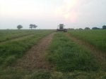 IMG_20120622_202630.jpg