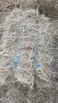Plant Twig Grass Agriculture Composite material