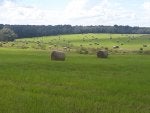 20200911_150627.jpg
