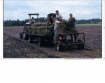 homemade bermuda tops spreader.jpg